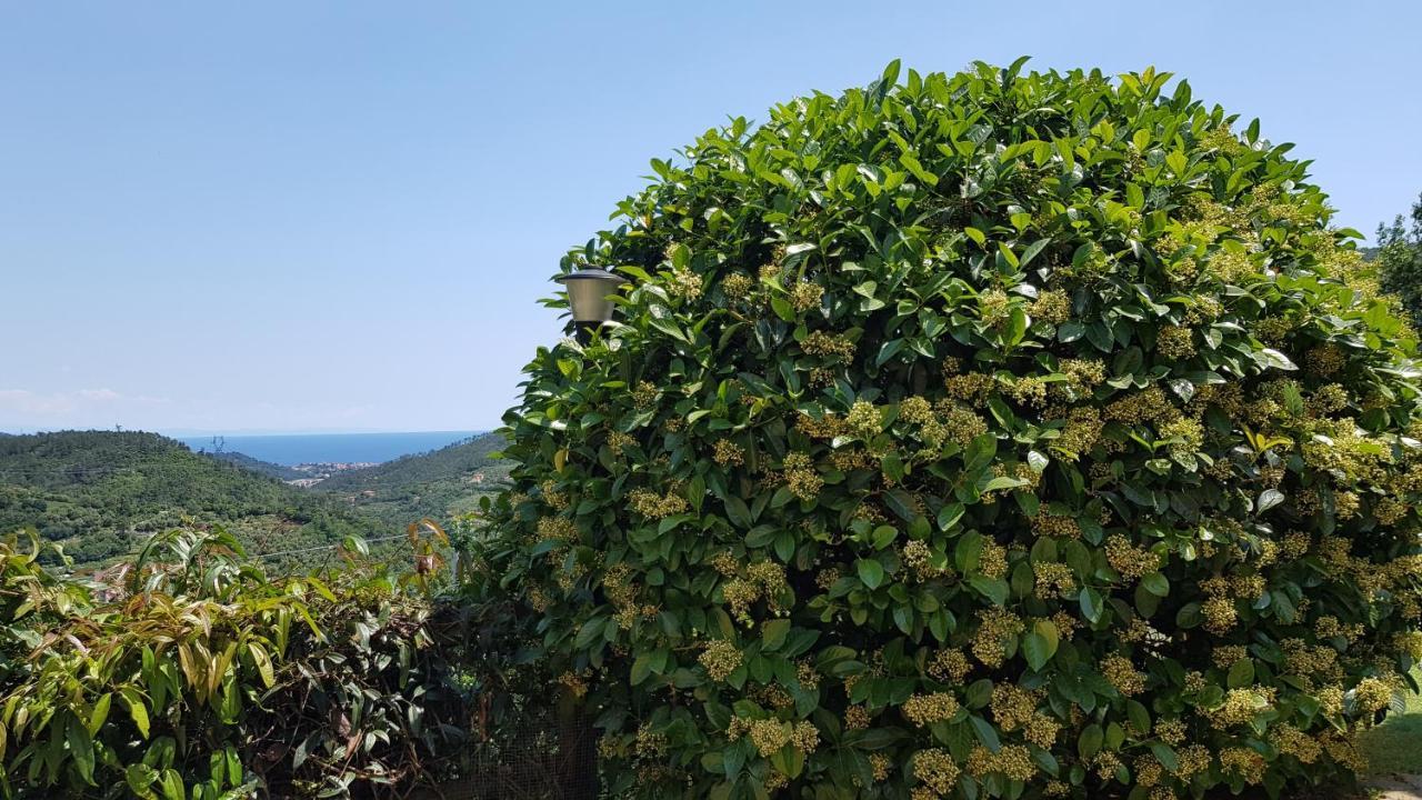 Villa Claudia Quiliano Екстериор снимка
